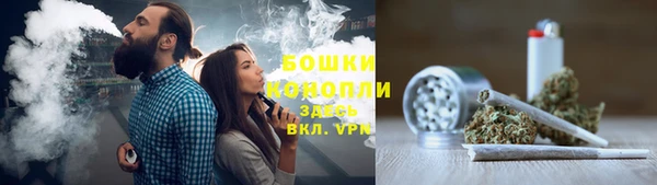прущие грибы Абдулино