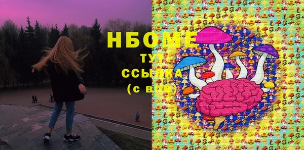 прущие грибы Абдулино