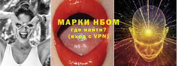 сатива Абаза