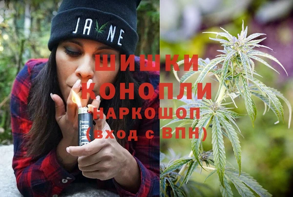 прущие грибы Абдулино